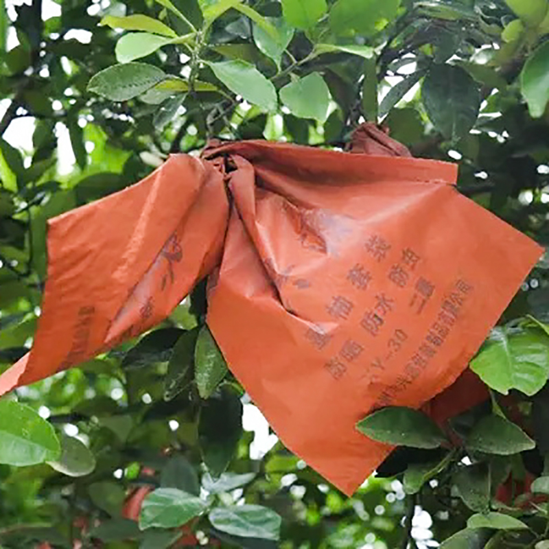 Pomelo Protection Bag